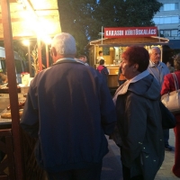 Tolnai Borok &Eacute;jszak&aacute;ja Tam&aacute;siban!