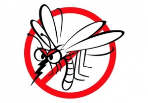 Felh&iacute;v&aacute;s a sz&uacute;nyogok elleni v&eacute;dekez&eacute;sre