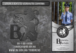 V&aacute;runk a b&uuml;ntet&eacute;s-v&eacute;grehajt&aacute;s csapat&aacute;ba