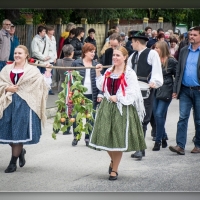 Fot&oacute;: Wolf D&aacute;vid