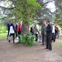 70 &eacute;ves a Gimn&aacute;zium