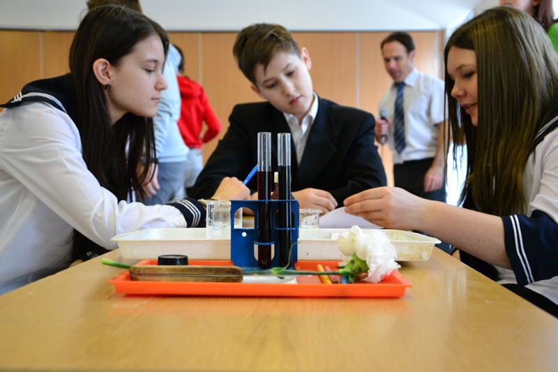 Hagyományos Béri-verseny