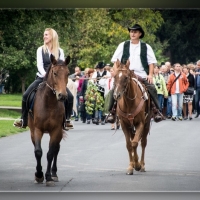 Fot&oacute;: Wolf D&aacute;vid