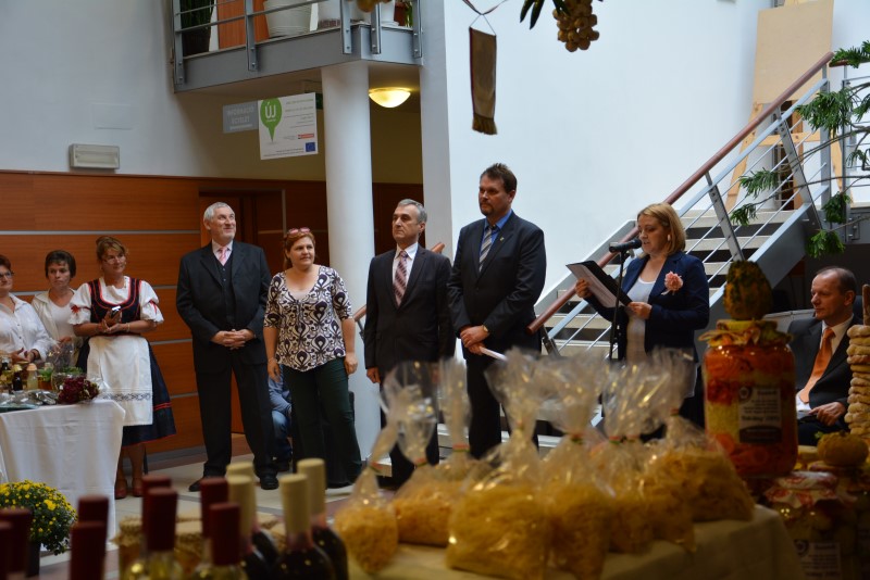 Helyettes államtitkár: stratégiai cél a közfoglalkoztatás