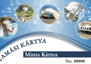 V&aacute;ltoz&aacute;sok a Tam&aacute;si K&aacute;rtya &eacute;rv&eacute;nyes&iacute;t&eacute;s&eacute;ben