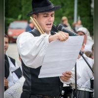 Fot&oacute;: Wolf D&aacute;vid