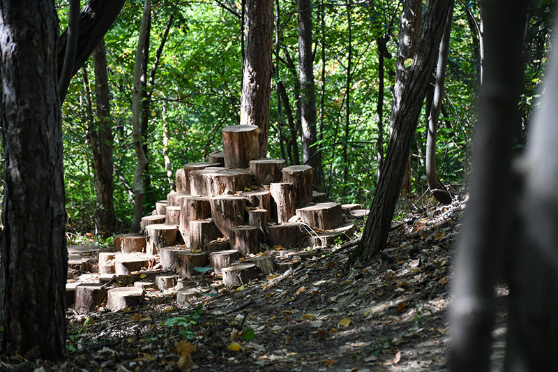 Egy éve nyerte el új, organikus külsejét a fenyvesi Kilátó