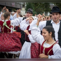 Fot&oacute;: Wolf D&aacute;vid