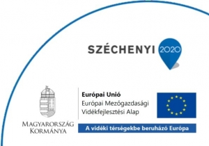 Tam&aacute;si V&aacute;ros &eacute;s P&aacute;ri K&ouml;zs&eacute;g f&ouml;ld&uacute;tjainak stabiliz&aacute;l&aacute;sa