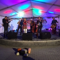 Tolnai Borok &Eacute;jszak&aacute;ja Tam&aacute;siban!