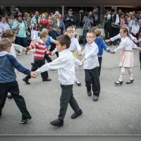 Fot&oacute;: Wolf D&aacute;vid