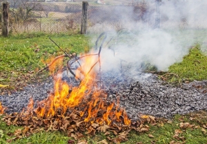 Kerti z&ouml;ldhullad&eacute;k &eacute;get&eacute;s