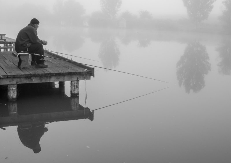 „Tamási objektíven keresztül 2015” fotópályázat eredményei
