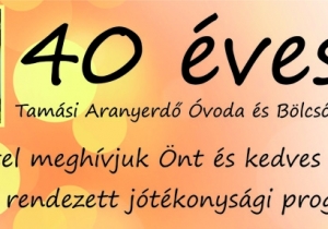 40 &eacute;ves a Tam&aacute;si Aranyerdő &Oacute;voda &eacute;s B&ouml;lcsőde
