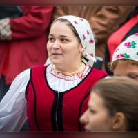 Fot&oacute;: Wolf D&aacute;vid