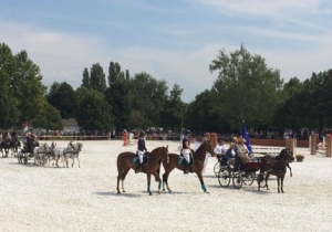 57. Tam&aacute;si Lovas Napok egy nemzetk&ouml;zi szintű p&aacute;ly&aacute;n
